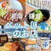 【湘南・鎌倉】ペットok🐶のお店 - メイン画像