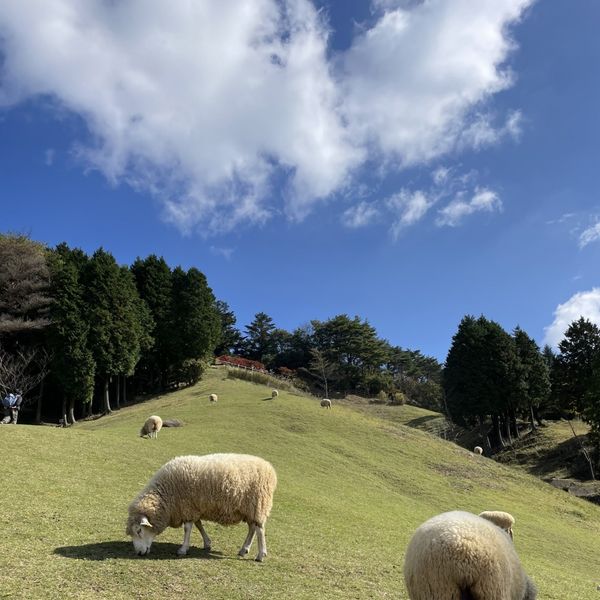 動物とふれあおう！札幌近くの牧場・動物園まとめ - メイン画像