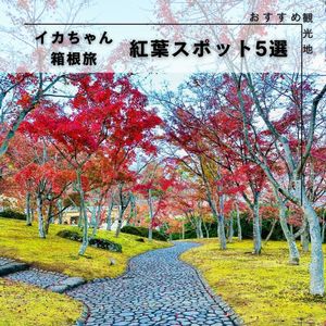 イカちゃん箱根旅🍁紅葉スポット5選 - メイン画像