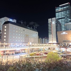 川崎駅　～レトロと変わり種飲み屋の聖地巡り～ - メイン画像