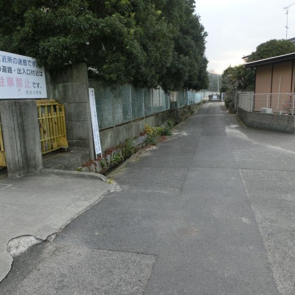 桜井小学校北側の道 - おすすめ画像