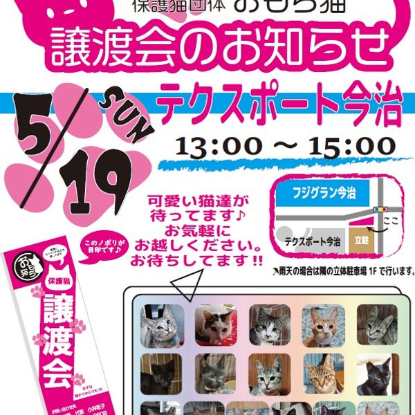 ◆5/19（日）今治市保護猫団体“おもち猫”　譲渡会◆ - おすすめ画像
