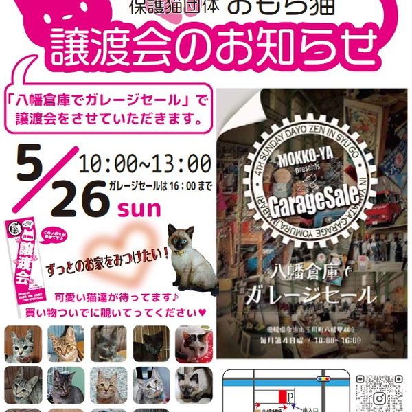 ◆5/28（日）今治市保護猫団体“おもち猫”　譲渡会◆ - おすすめ画像