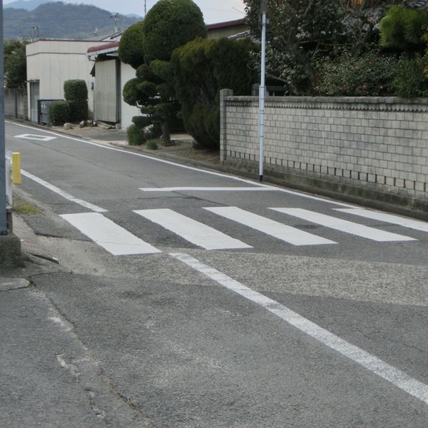 病院前横断歩道 - おすすめ画像