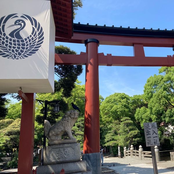 平塚八幡宮 - おすすめ画像