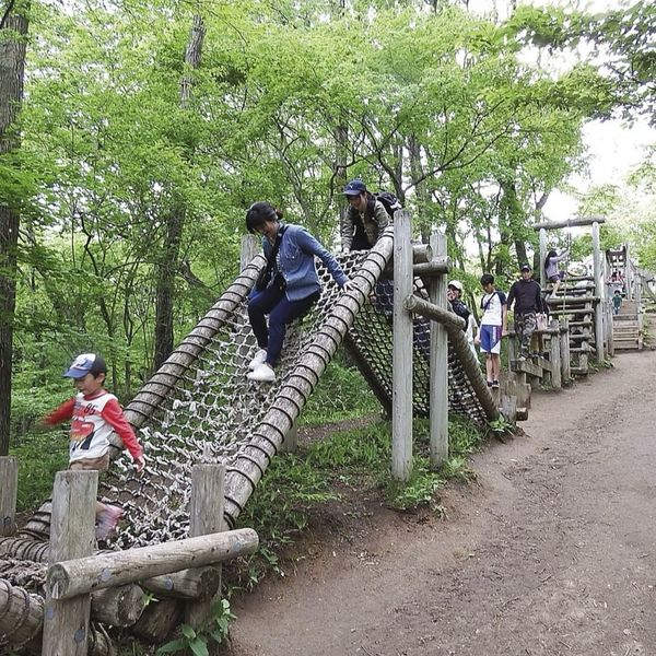 宮城県　県民の森 - おすすめ画像