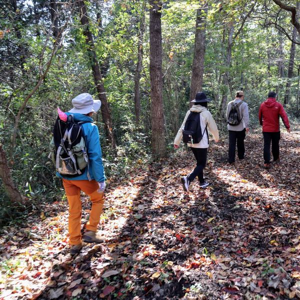 県民の森散策路 - おすすめ画像