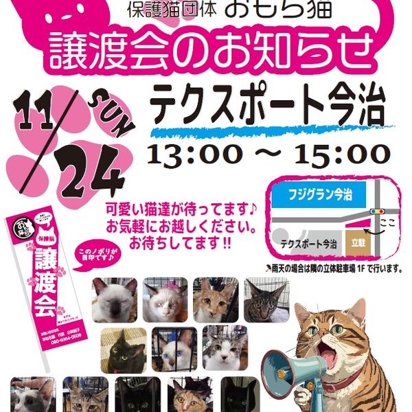 ◆11/24（日）今治市保護猫団体“おもち猫”　譲渡会◆ - おすすめ画像