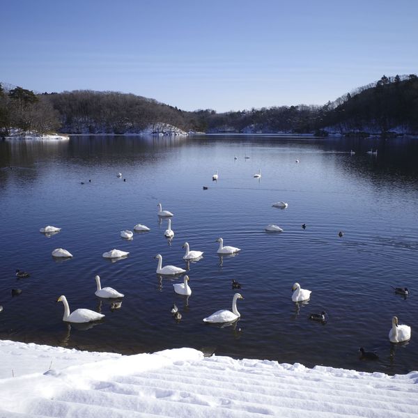 モリリン加瀬沼公園 - おすすめ画像