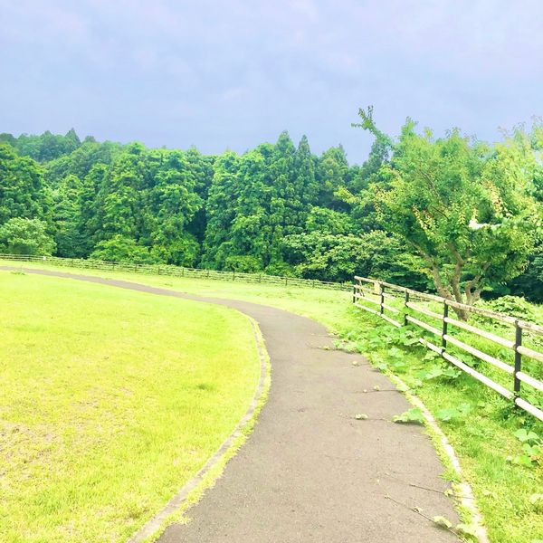 モリリン加瀬沼公園芝生広場 - おすすめ画像