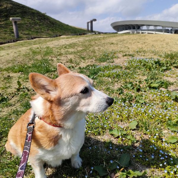 宮城県 グランディ21・宮城県総合運動公園 - おすすめ画像