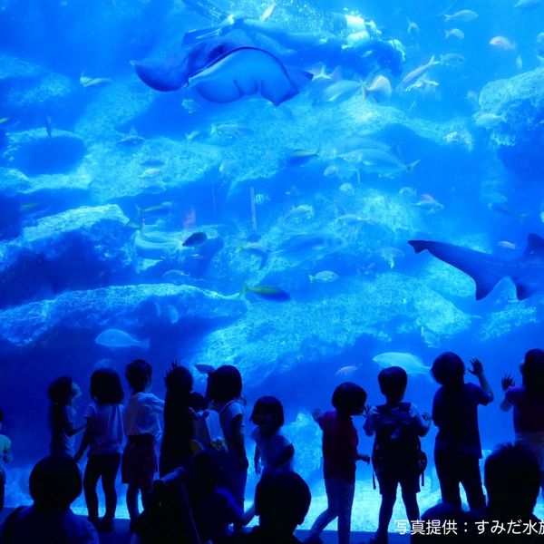 すみだ水族館 - おすすめ画像