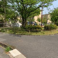 青山公園 - 投稿画像1