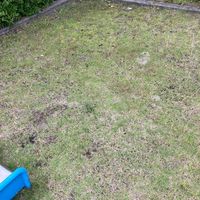帝塚山南五丁目1号街区公園 - 投稿画像3