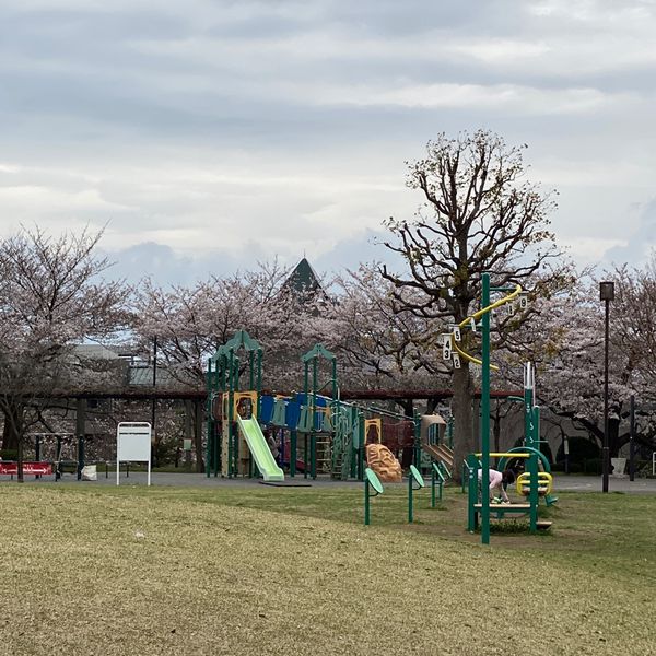 松原中央公園 - おすすめ画像