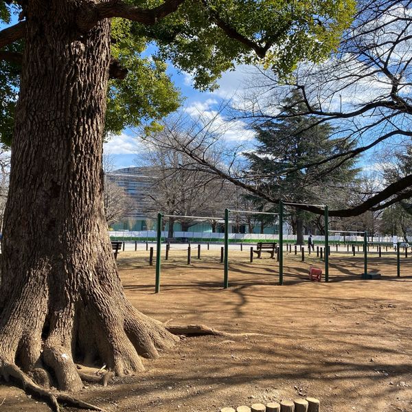 板橋区平和公園 - おすすめ画像