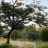 高田児童公園 - 投稿画像1
