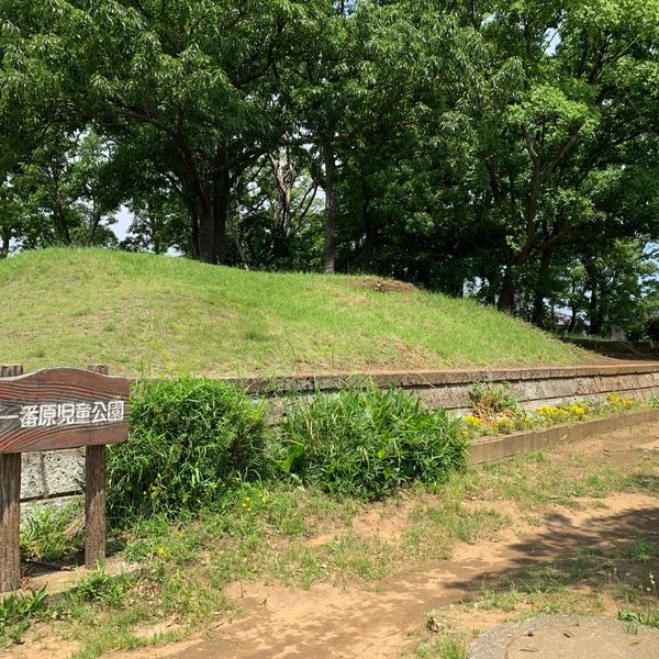 一番原街区公園 - トップ画像