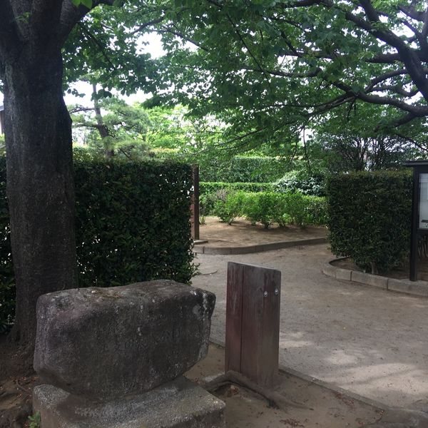 土支田農業公園 - トップ画像