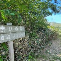 ふるさとの森21公園 - 投稿画像2