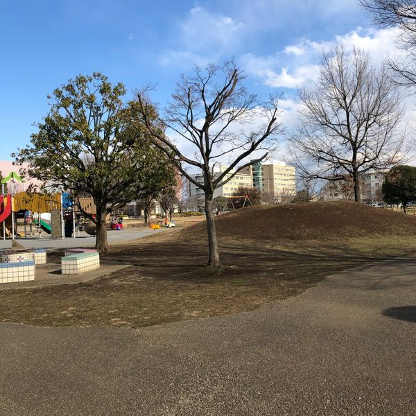 文化の杜公園 - トップ画像