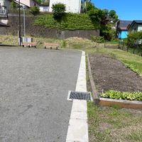 瑞の江公園 - 投稿画像1