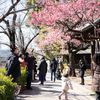 荏原神社 - トップ画像