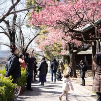 荏原神社 - 投稿画像0