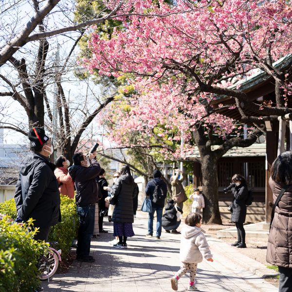 荏原神社 - おすすめ画像