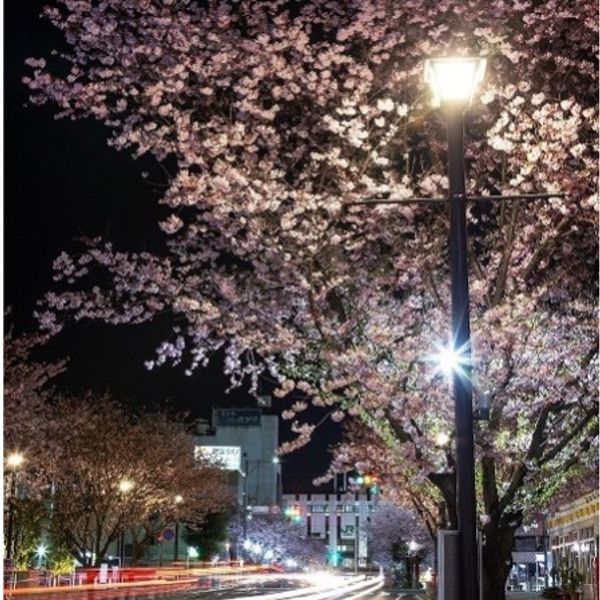 Oyama Eki Nishiguchi Gionjo Dori - トップ画像