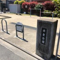 赤金 - 投稿画像0