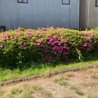薬師寺荘園第2号児童公園 - 投稿画像1