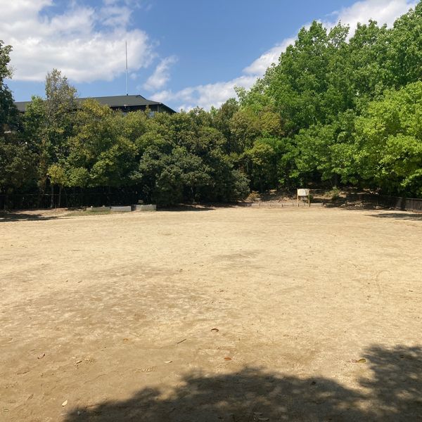 新芦屋中央公園 - おすすめ画像