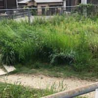宮ノ谷第6幼児公園 - 投稿画像3