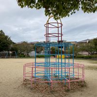 つつじ公園 - 投稿画像3