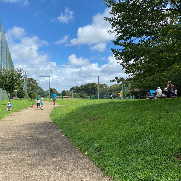 春日台公園（高津区市民健康の森） - おすすめ画像