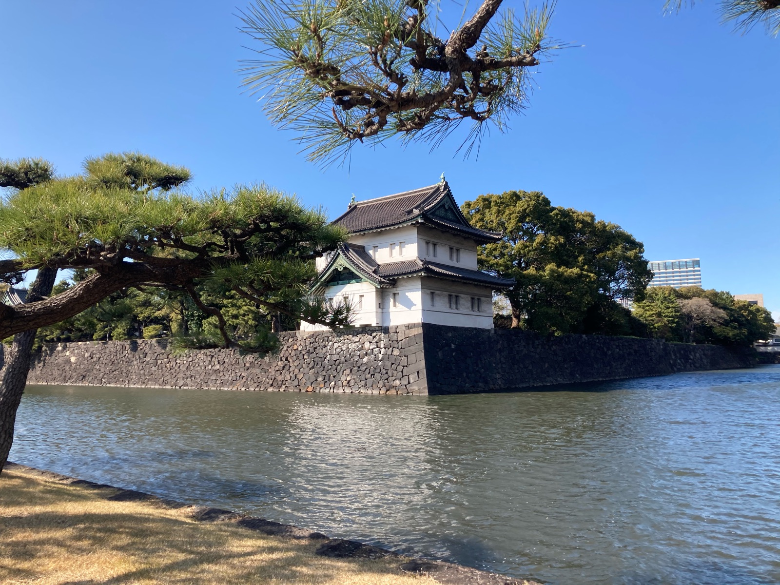 皇居　四季 季節の花 : 皇居外苑 | 一般財団法人国民公園協会