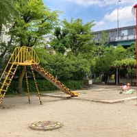 桜の町公園 - 投稿画像3