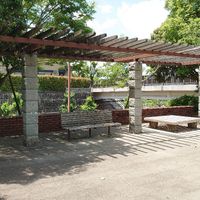 青山五丁目街区公園 - 投稿画像2