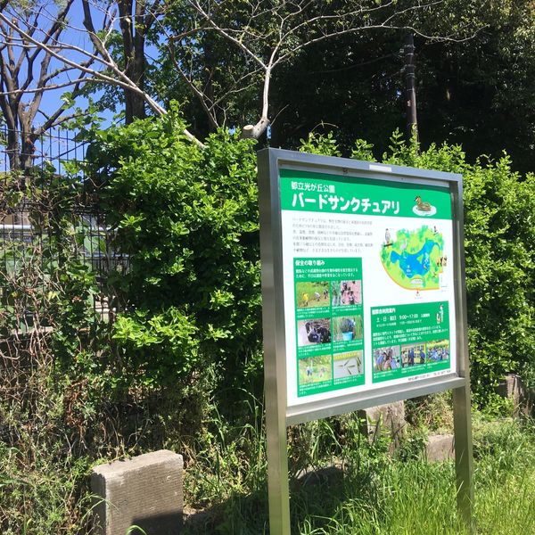 光が丘公園 バードサンクチュアリ - トップ画像