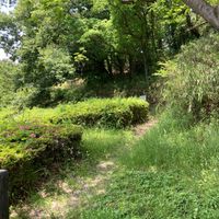 紫金山公園 - 投稿画像3