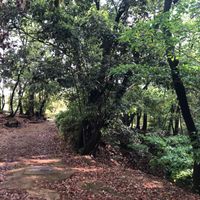 広田山公園 - 投稿画像2