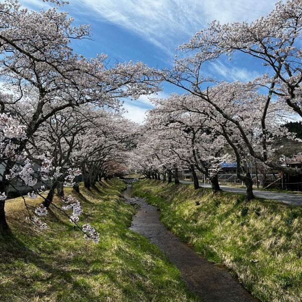 湯沢川堤防 - トップ画像