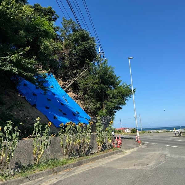 土砂崩れ【高城地区】 - トップ画像