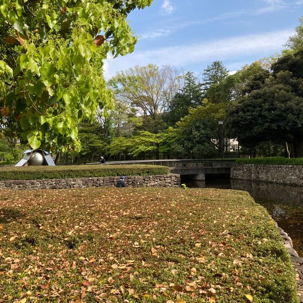 府中の森公園 - おすすめ画像