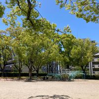 竹見公園 - 投稿画像3