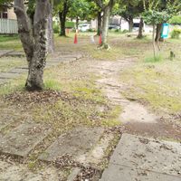 泉原第4号児童公園 - 投稿画像3