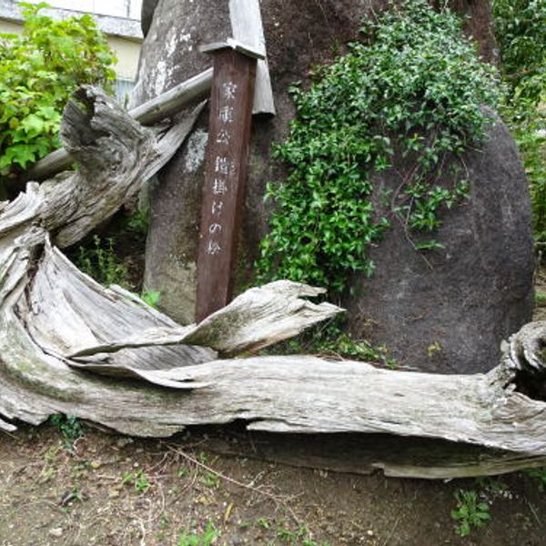 安泰寺 - おすすめ画像