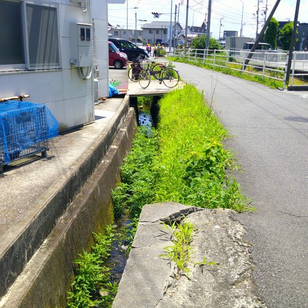 柵の無い水路 - トップ画像