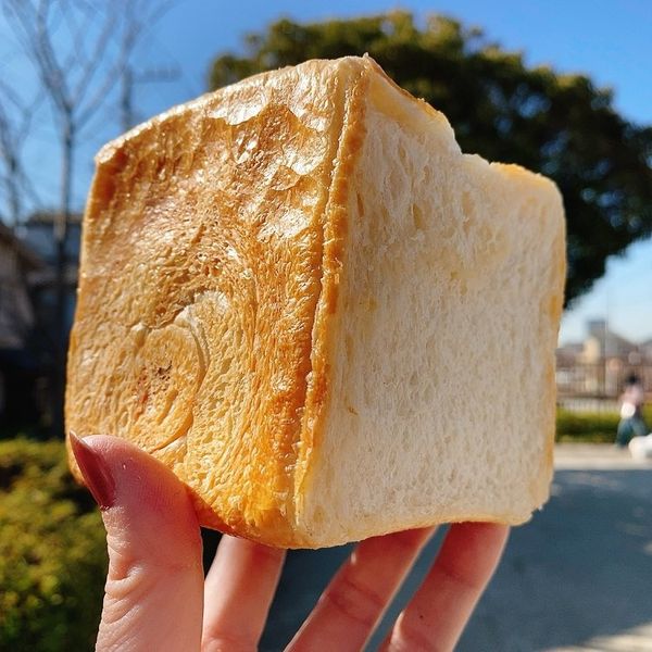 카이주야 (かいじゅう屋) - おすすめ画像